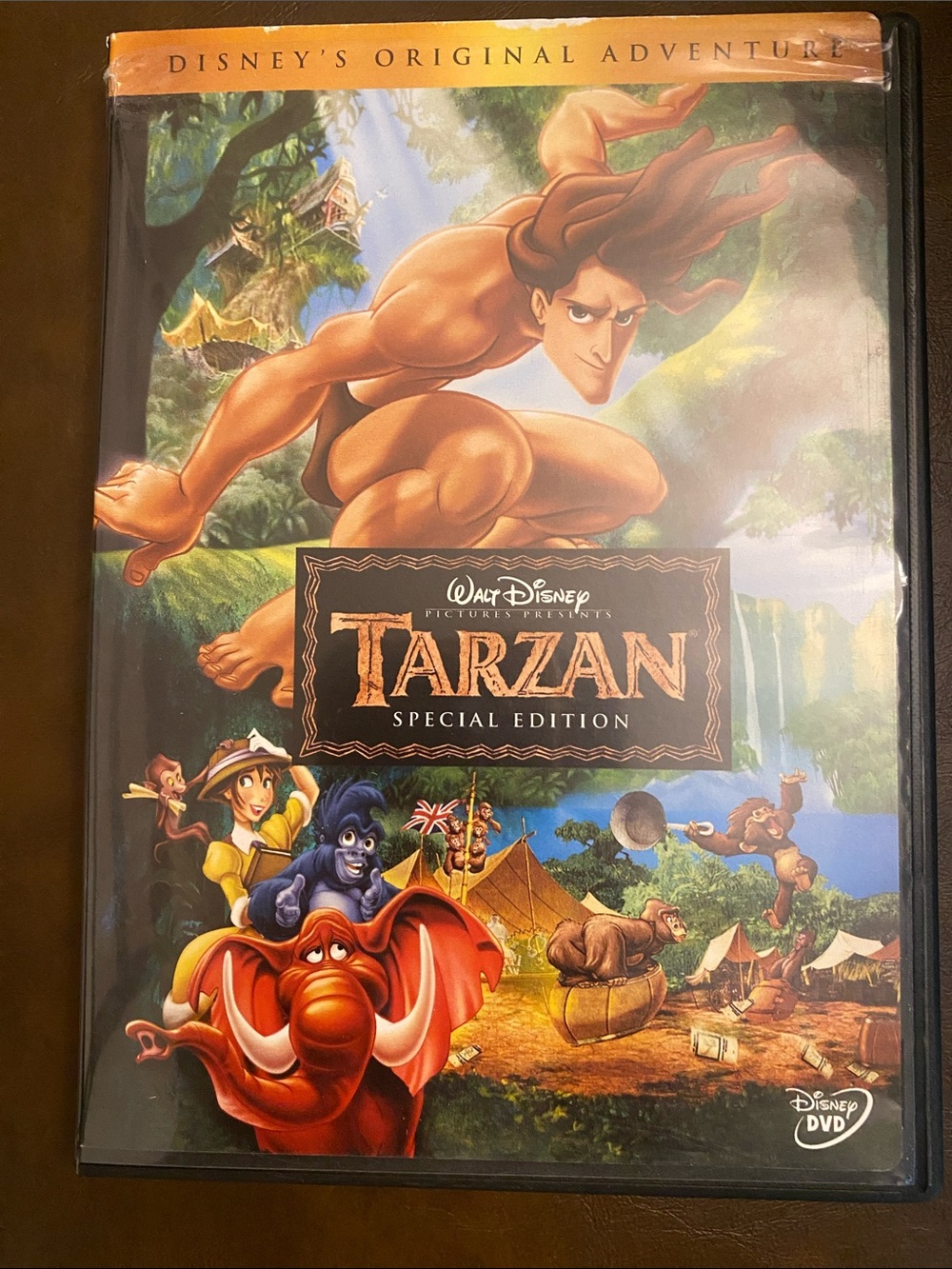 Disney Tarzan DVD — Green, Blue & Brown Cover Art